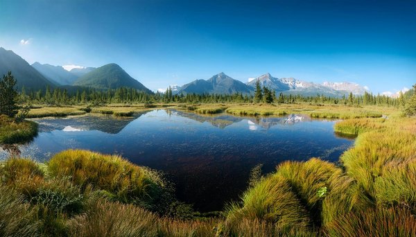 Plongez dans l'effervescence des fêtes de bayonne : une expérience festive mémorable
